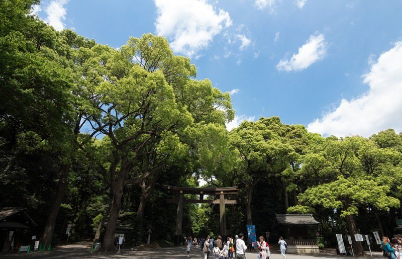 Meiji Jingu Shrine